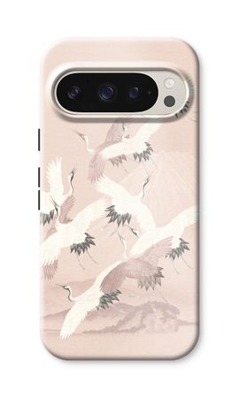 Japanese Crane Birds