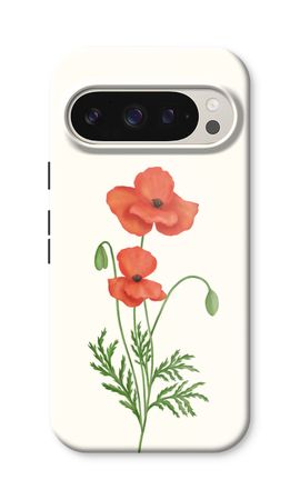 Red poppy