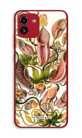 Haeckel Nepenthaceae