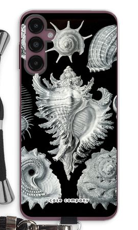 Haeckel Prosobranchia