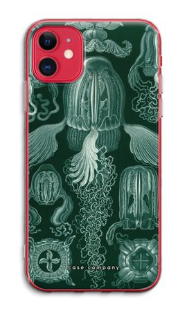 Haeckel Cubomedusae