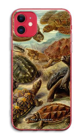 Haeckel Chelonia