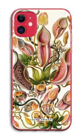Haeckel Nepenthaceae