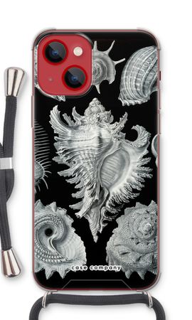 Haeckel Prosobranchia