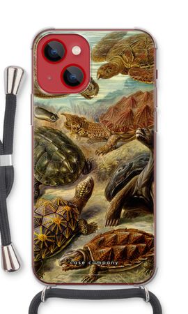 Haeckel Chelonia