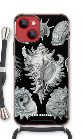 Haeckel Prosobranchia