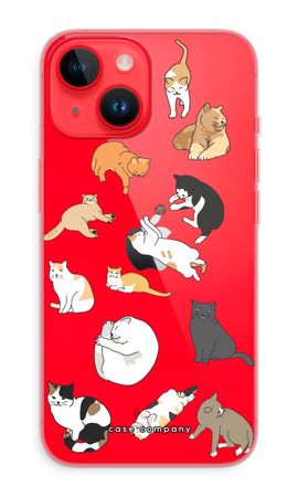 Cats