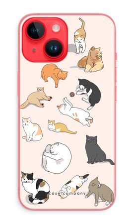 Cats