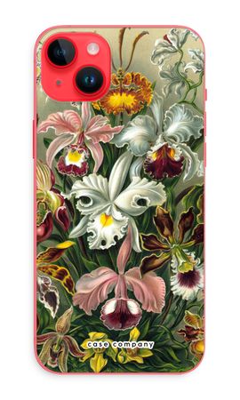 Haeckel Orchidae