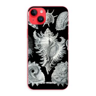 Haeckel Prosobranchia