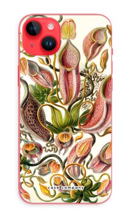 Haeckel Nepenthaceae