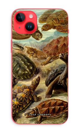 Haeckel Chelonia