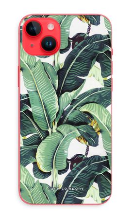 Feuilles de banana