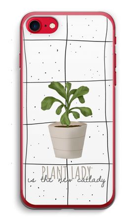 Houseplant on windowpane