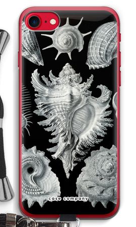 Haeckel Prosobranchia