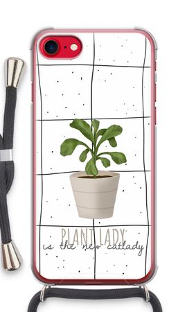 Houseplant on windowpane