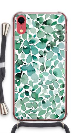 Eucalyptus à feuilles