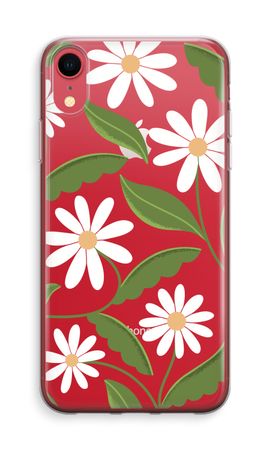 Daisies All Over