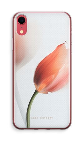 Tulip