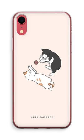 Playing cats