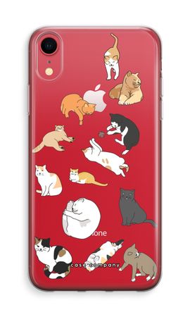 Cats