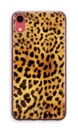 Cheetah