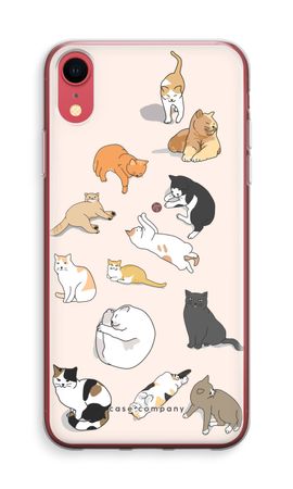 Cats