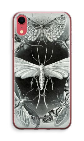 Haeckel Tineida