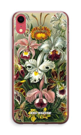 Haeckel Orchidae