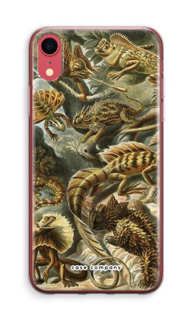 Haeckel Lacertilia