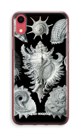 Haeckel Prosobranchia