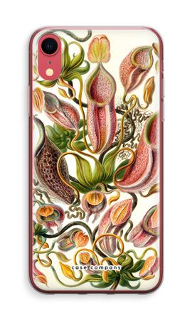Haeckel Nepenthaceae