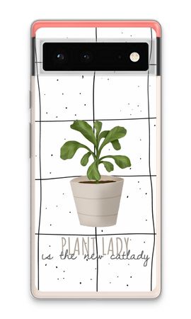 Houseplant on windowpane