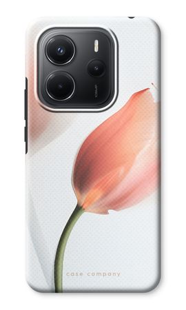 Tulip