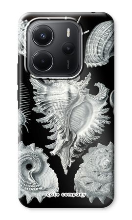 Haeckel Prosobranchia