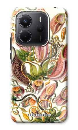 Haeckel Nepenthaceae