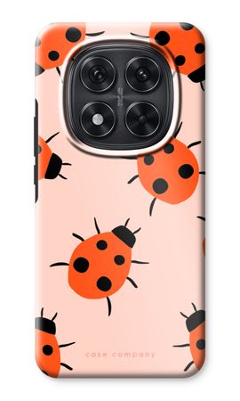 Ladybugs
