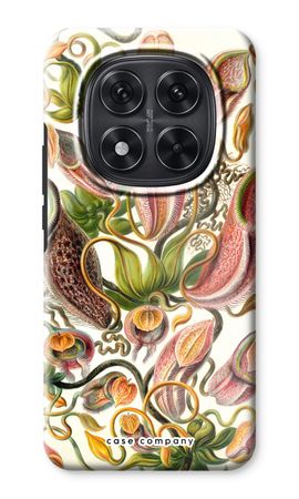 Haeckel Nepenthaceae