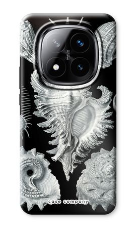 Haeckel Prosobranchia