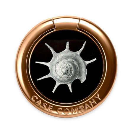 Haeckel Prosobranchia