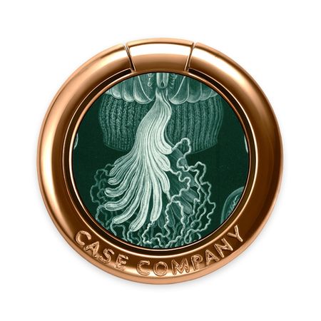 Haeckel Cubomedusae
