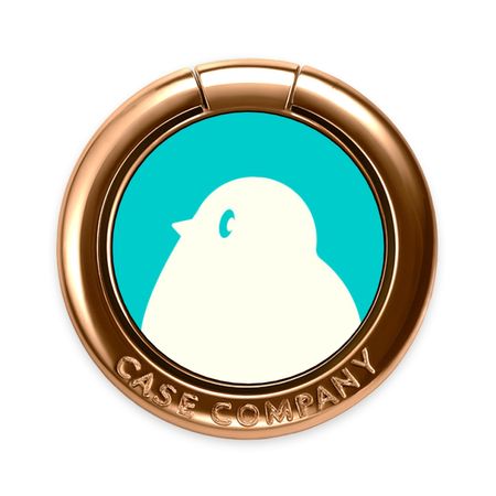 BIG Robin 2