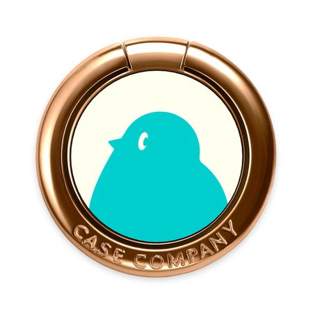 BIG Robin 1