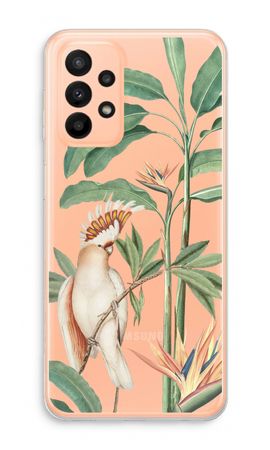 Tropical Parrot