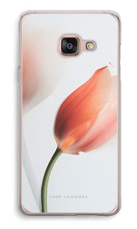 Tulip