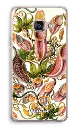 Haeckel Nepenthaceae