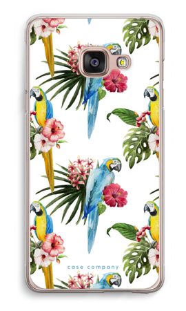 Kleurrijke papegaaien