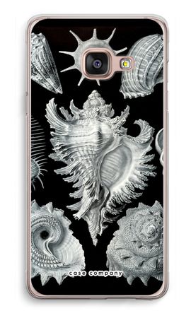 Haeckel Prosobranchia