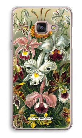 Haeckel Orchidae