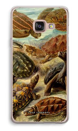 Haeckel Chelonia